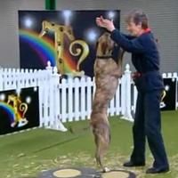 STAGE TUBE: OVER THE RAINBOW - Week 2 - Search for Toto Video